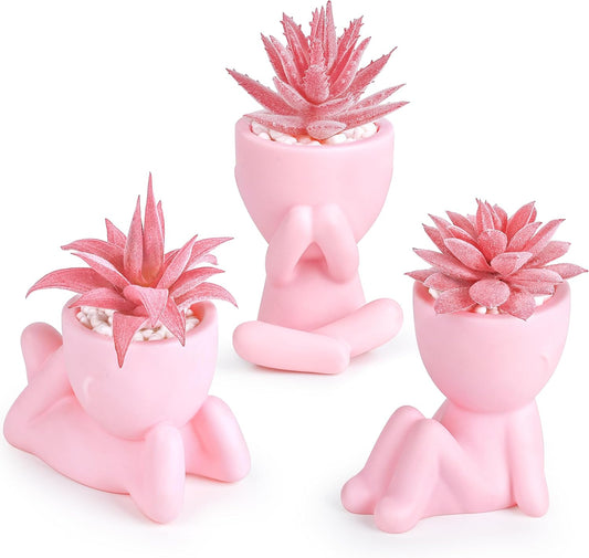 Der Rose 3pcs Fake Succulents Plants Artificial for Black Bathroom Bedroom Home Living