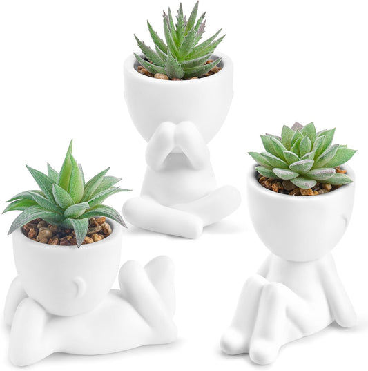 Der Rose 3pcs Fake Succulents Plants Artificial for Black Bathroom Bedroom Home Living